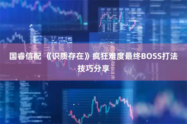 国睿信配 《识质存在》疯狂难度最终BOSS打法技巧分享