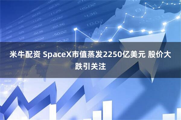 米牛配资 SpaceX市值蒸发2250亿美元 股价大跌引关注